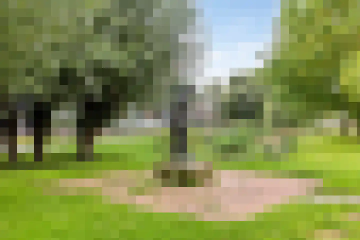 Noord-Hollandlaan 22 Lage Zwaluwe thumbnail 41