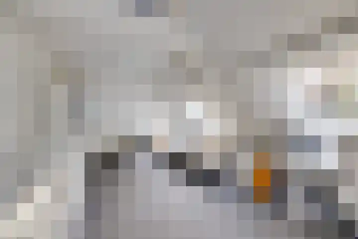Noord-Houdringelaan 1 Bilthoven thumbnail 32