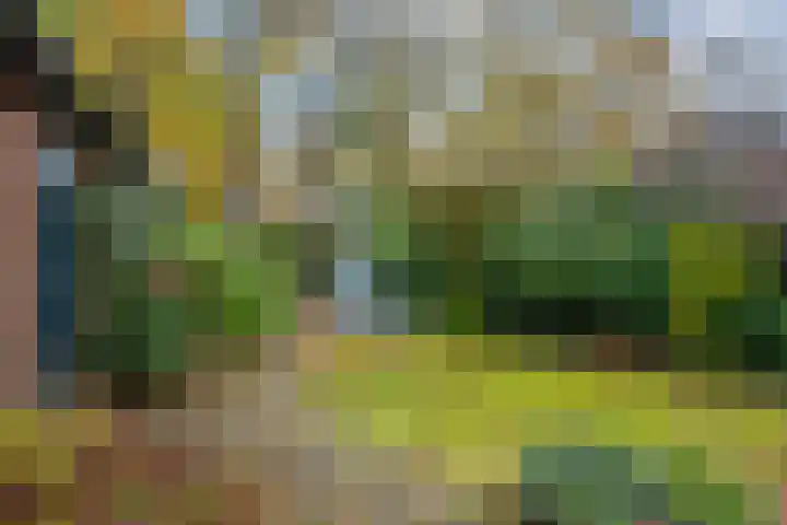 Noord-Houdringelaan 1 Bilthoven thumbnail 44