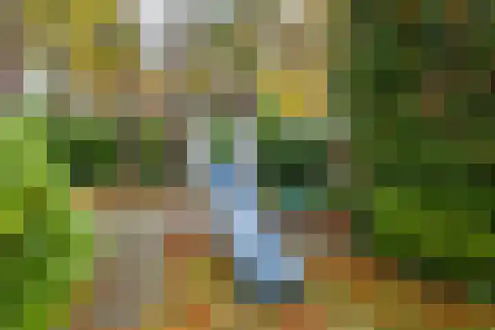 Noord-Houdringelaan 1 Bilthoven thumbnail 46