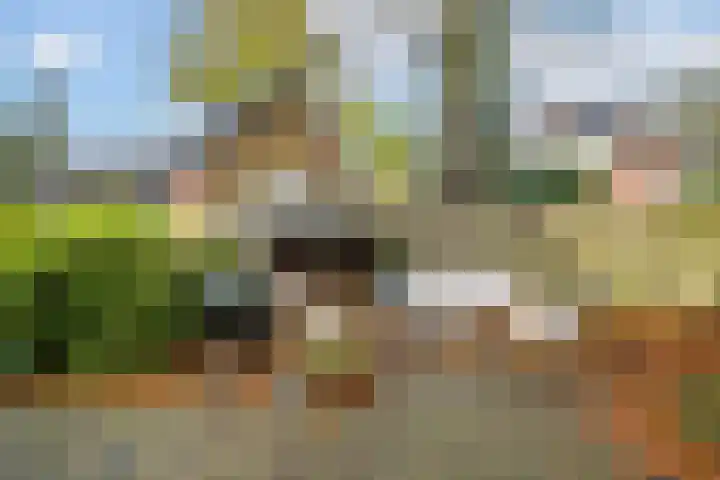 Noord-Houdringelaan 1 Bilthoven thumbnail 47