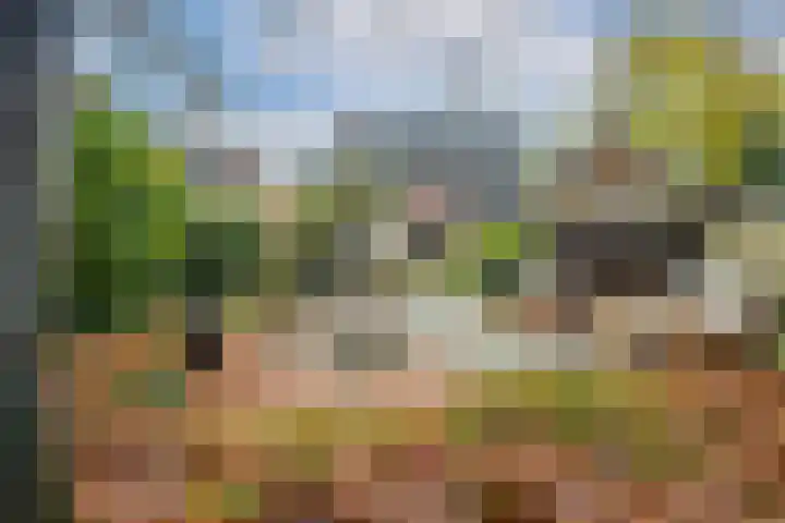 Noord-Houdringelaan 1 Bilthoven thumbnail 5