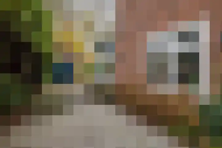 Noord-Houdringelaan 1 Bilthoven thumbnail 51