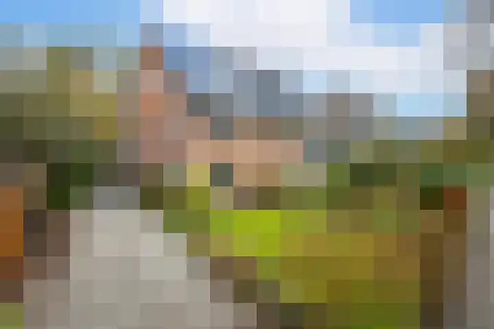Noord-Houdringelaan 1 Bilthoven thumbnail 53