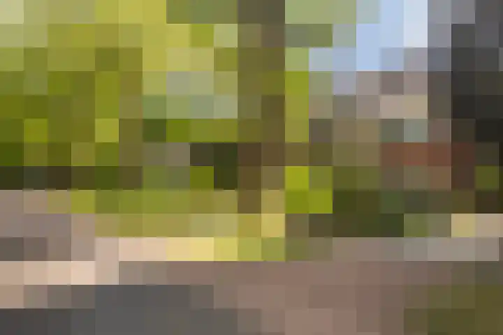 Noord-Houdringelaan 20 Bilthoven thumbnail 27