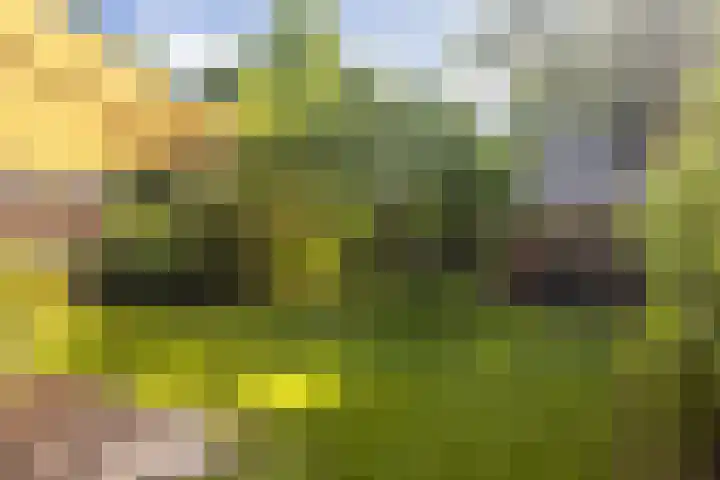 Noord-Houdringelaan 20 Bilthoven thumbnail 29