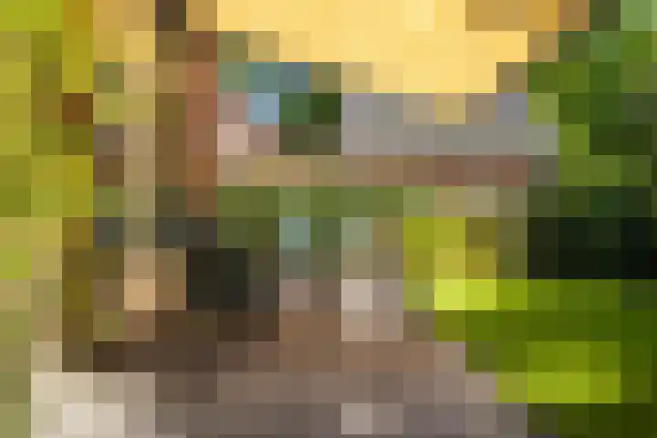 Noord-Houdringelaan 20 Bilthoven thumbnail 30