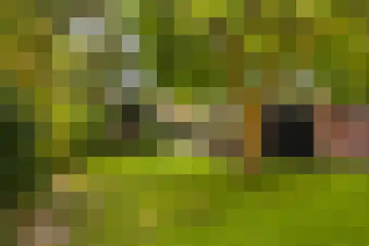Noord-Houdringelaan 20 Bilthoven thumbnail 31
