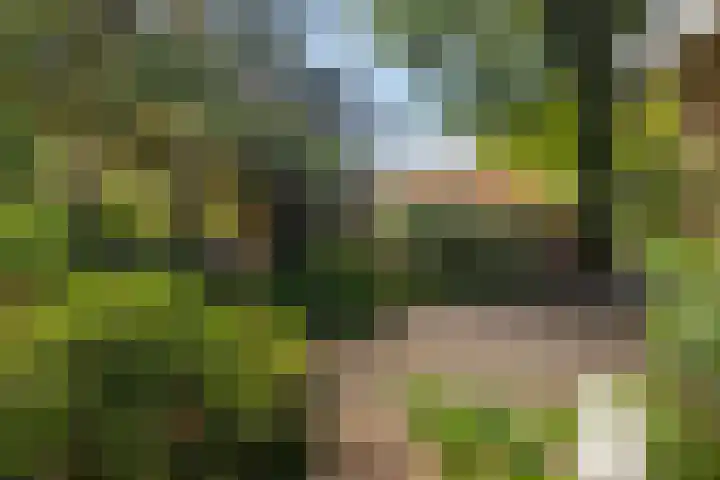 Noord-Houdringelaan 20 Bilthoven thumbnail 32