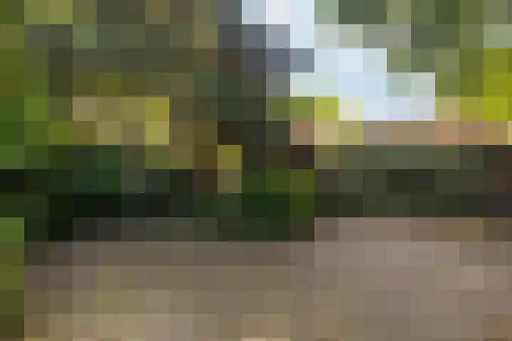 Noord-Houdringelaan 20 Bilthoven thumbnail 33