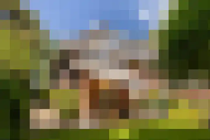 Noord-Houdringelaan 20 Bilthoven thumbnail 34