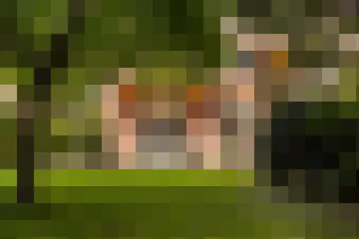 Noord-Houdringelaan 20 Bilthoven thumbnail 36