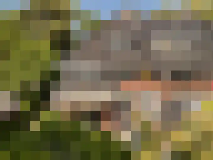 Noord-Houdringelaan 20 Bilthoven thumbnail 37