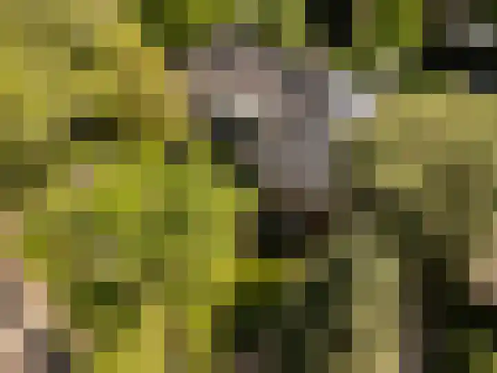 Noord-Houdringelaan 20 Bilthoven thumbnail 38