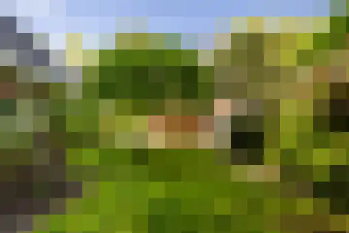 Noord-Houdringelaan 20 Bilthoven thumbnail 4