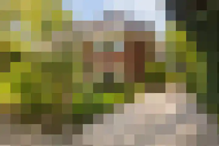 Noord-Houdringelaan 20 Bilthoven thumbnail 5