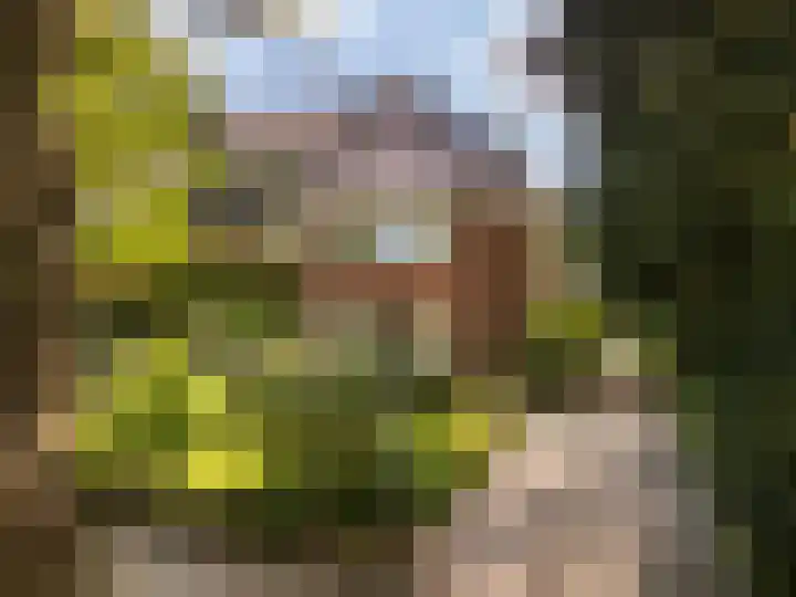 Noord-Houdringelaan 20 Bilthoven thumbnail 58