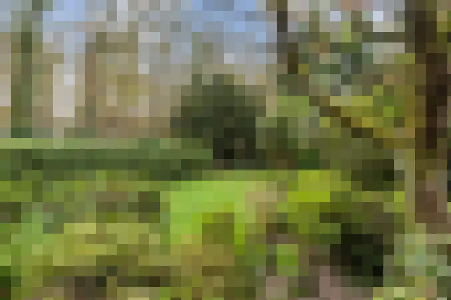 Noord-Houdringelaan 32 Bilthoven thumbnail 28