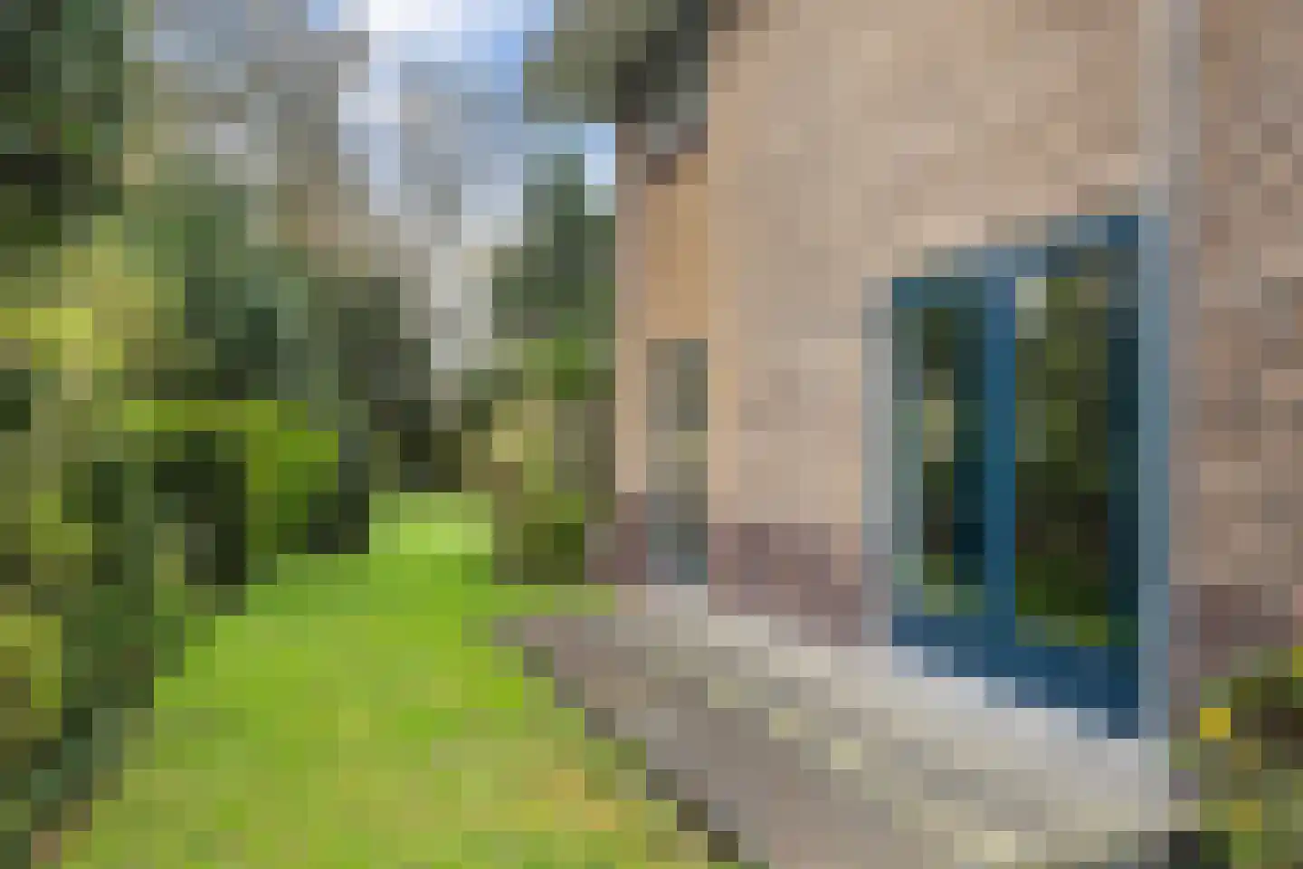 Noord-Houdringelaan 32 Bilthoven thumbnail 33