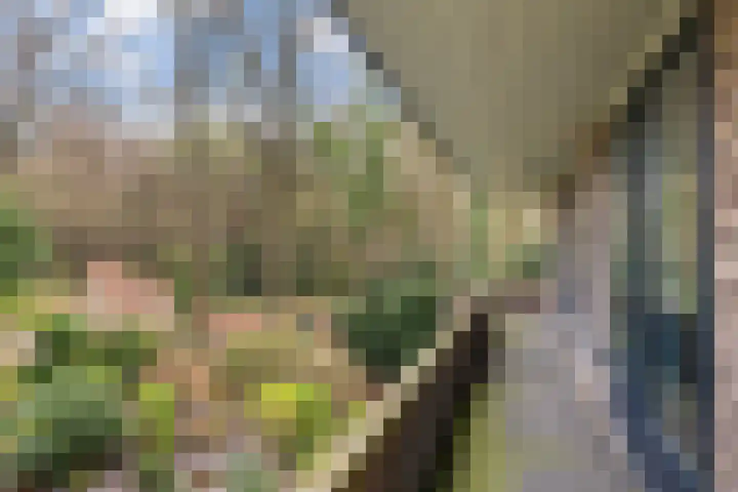 Noord-Houdringelaan 32 Bilthoven thumbnail 38
