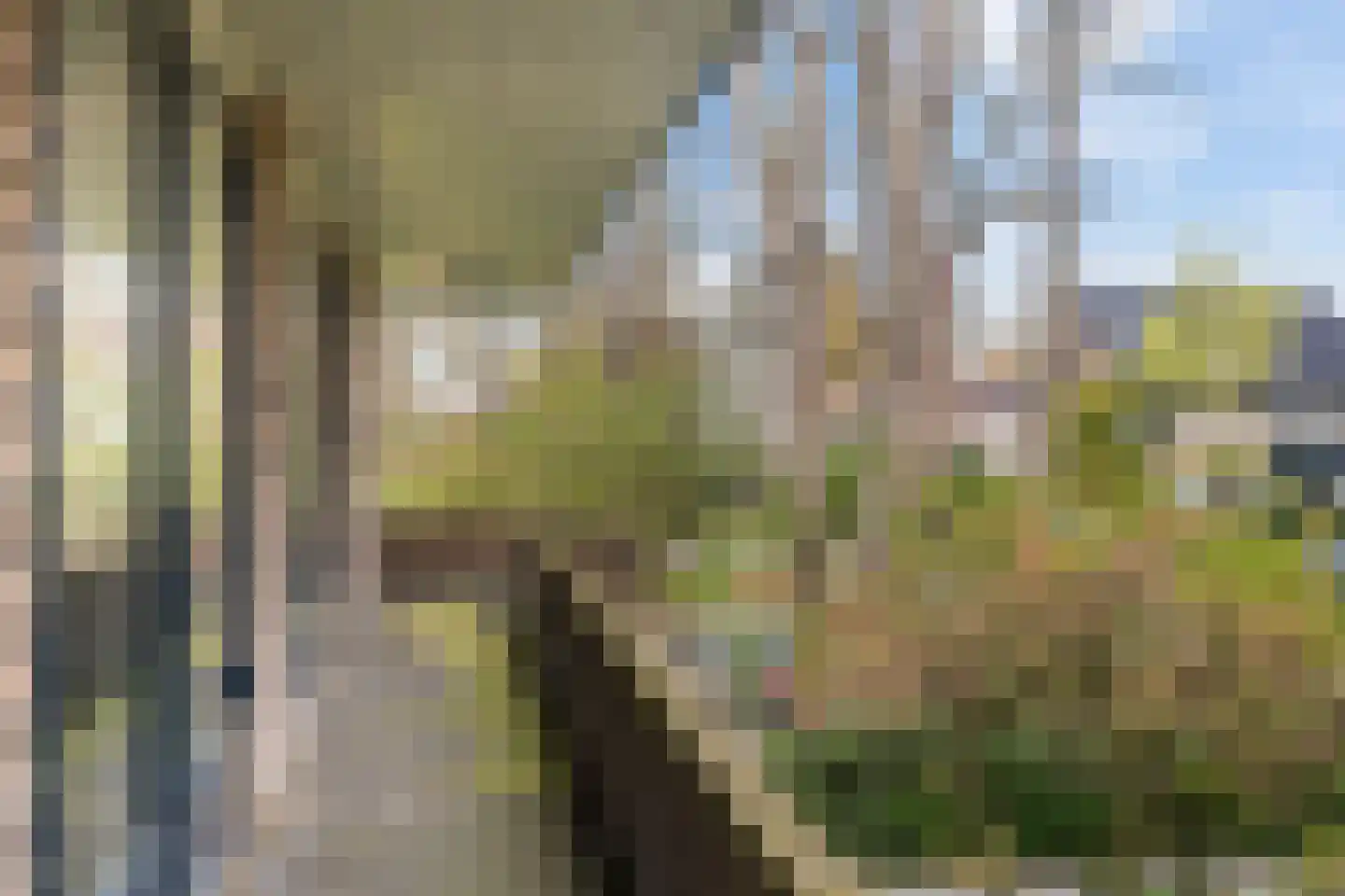 Noord-Houdringelaan 32 Bilthoven thumbnail 39