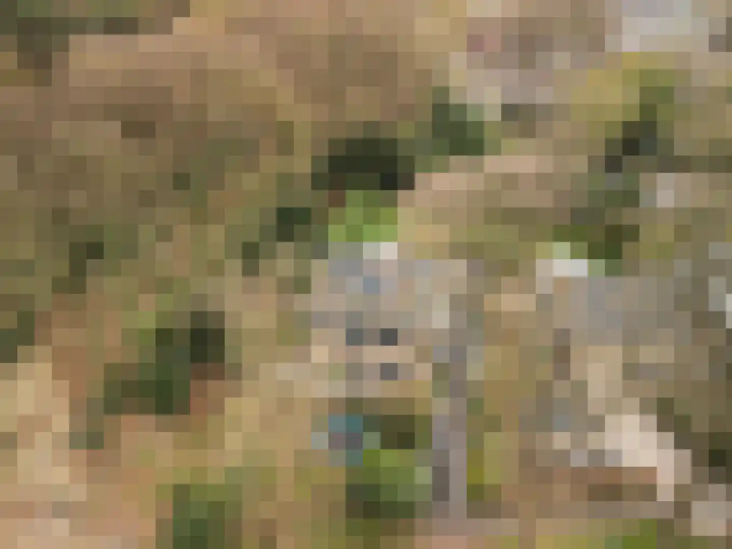 Noord-Houdringelaan 32 Bilthoven thumbnail 56