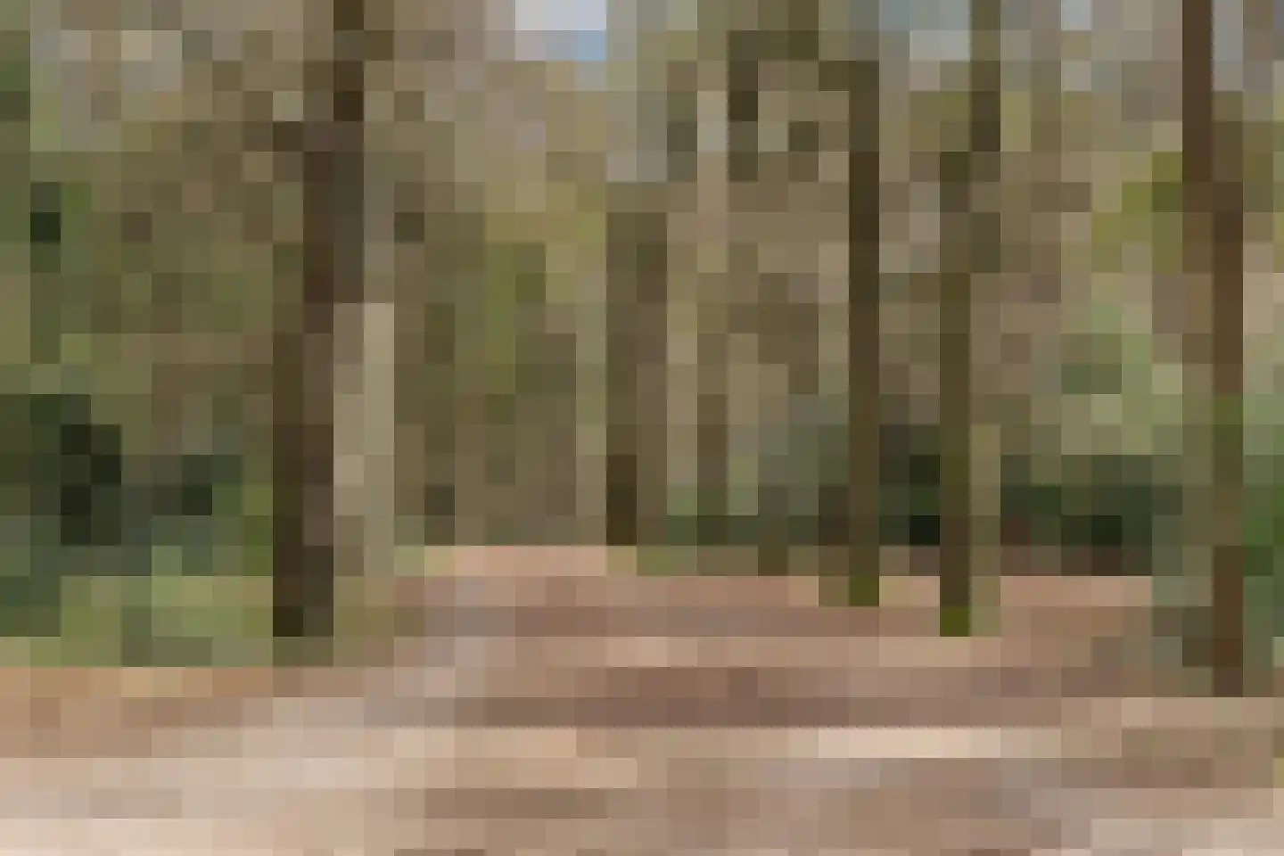 Noord-Houdringelaan 32 Bilthoven thumbnail 59