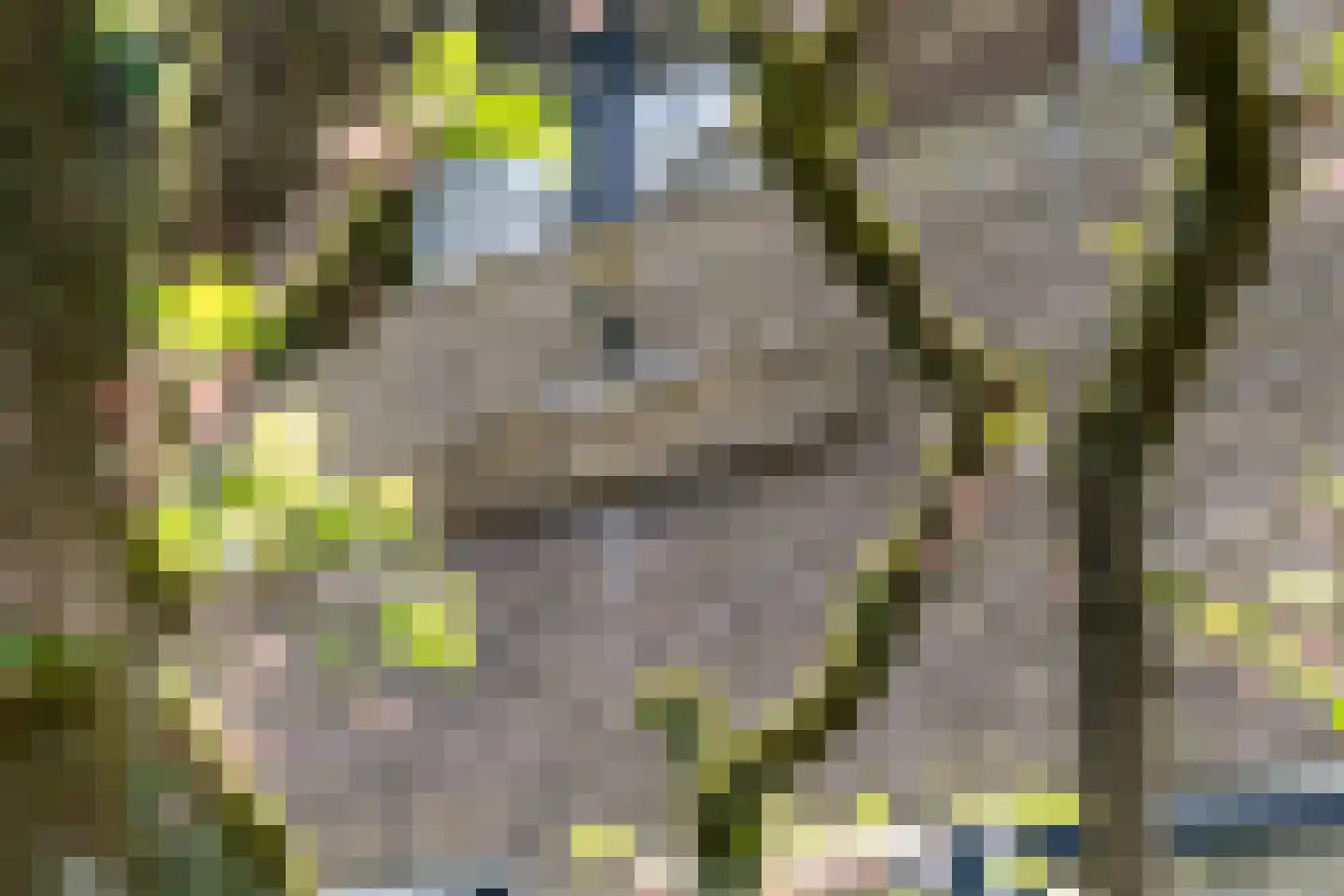 Noord-Houdringelaan 32 Bilthoven thumbnail 6