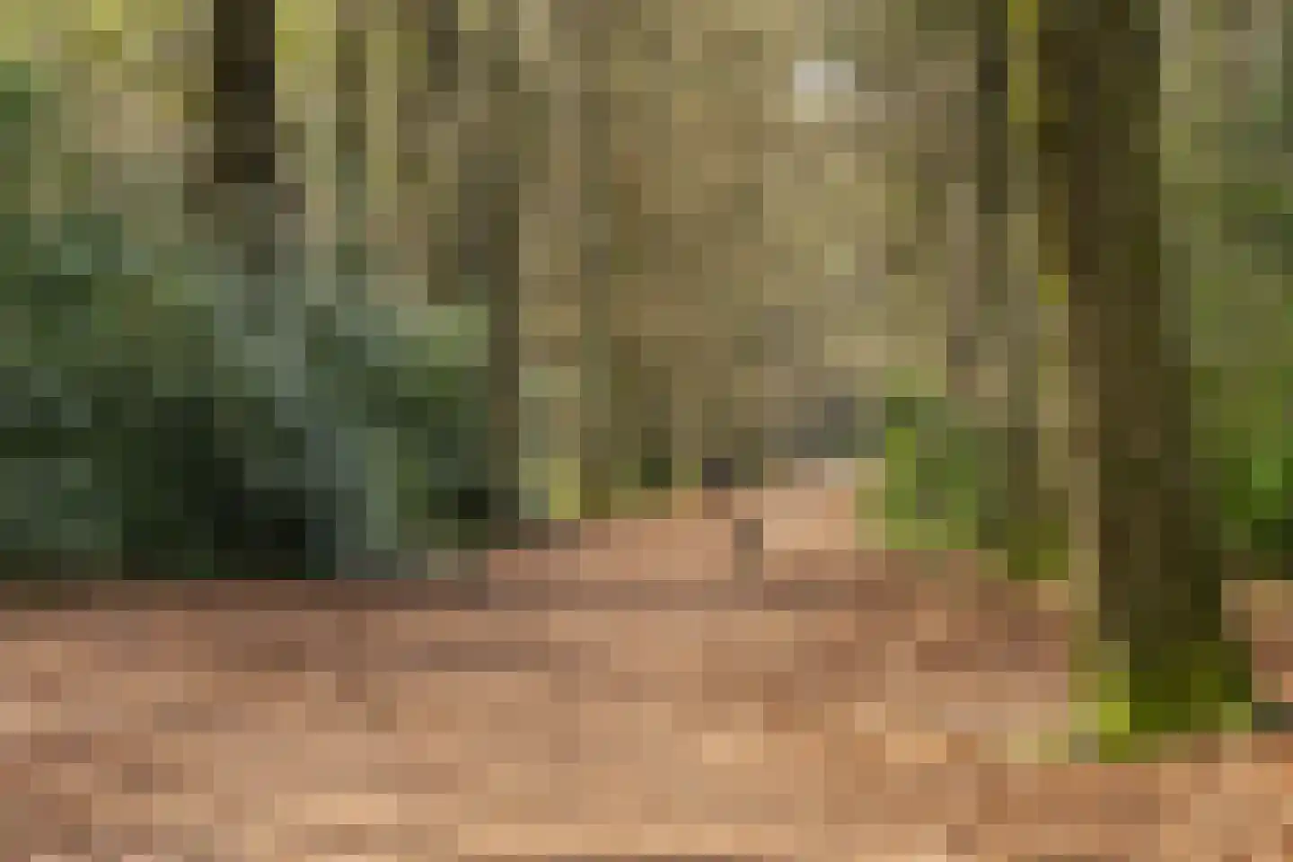 Noord-Houdringelaan 32 Bilthoven thumbnail 60