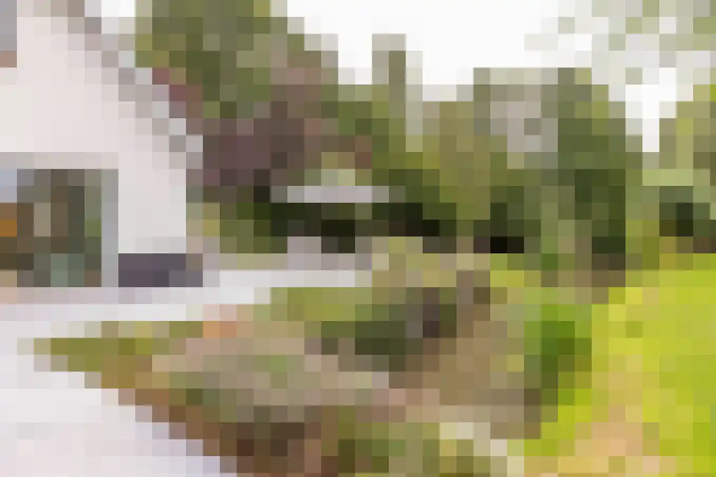 Noord IJsseldijk 101 IJsselstein thumbnail 58