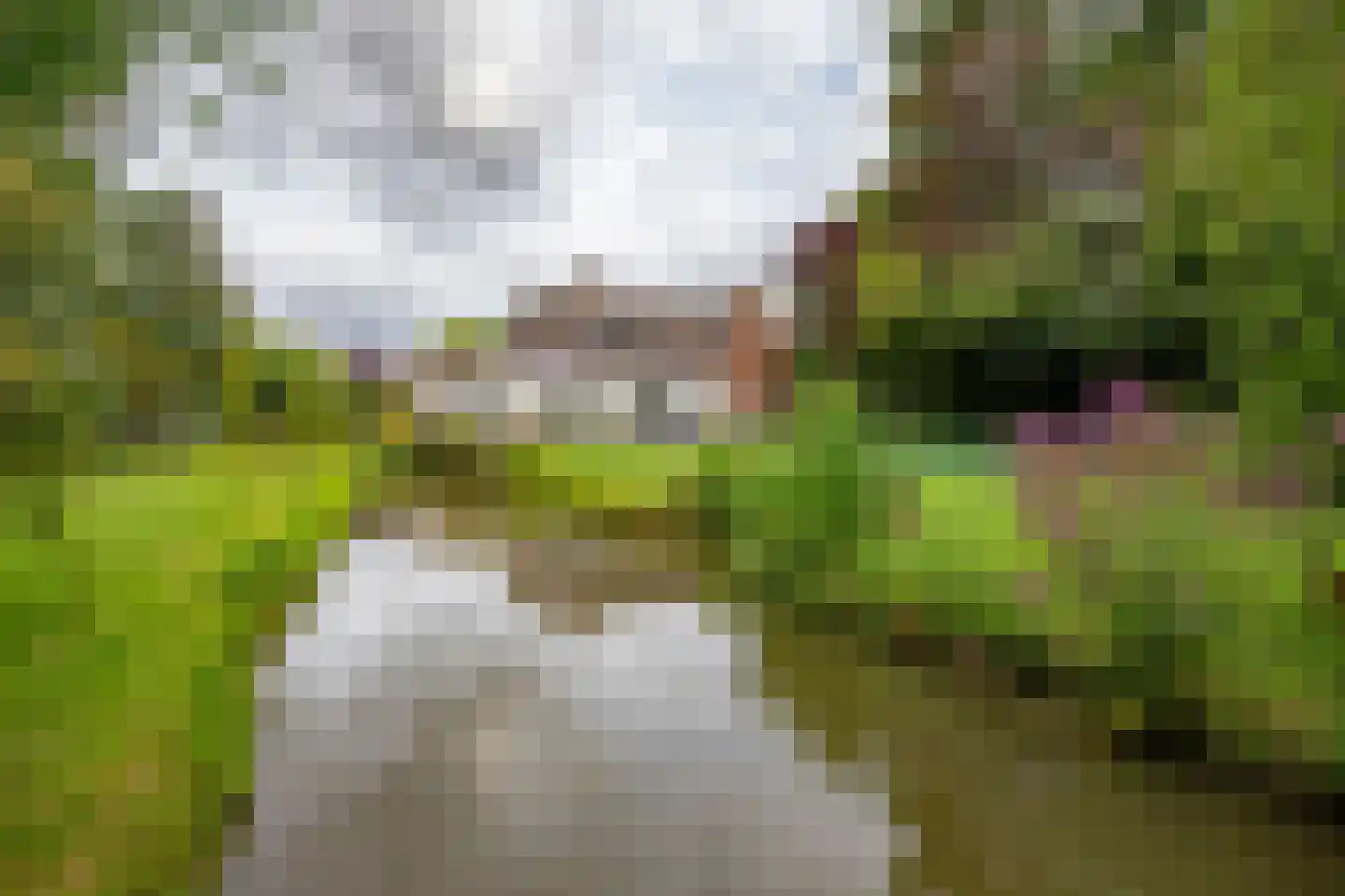 Noord IJsseldijk 101 IJsselstein thumbnail 67