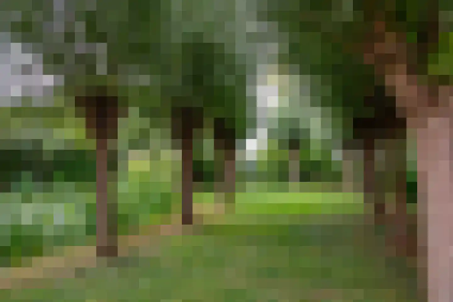Noord IJsseldijk 101 IJsselstein thumbnail 72