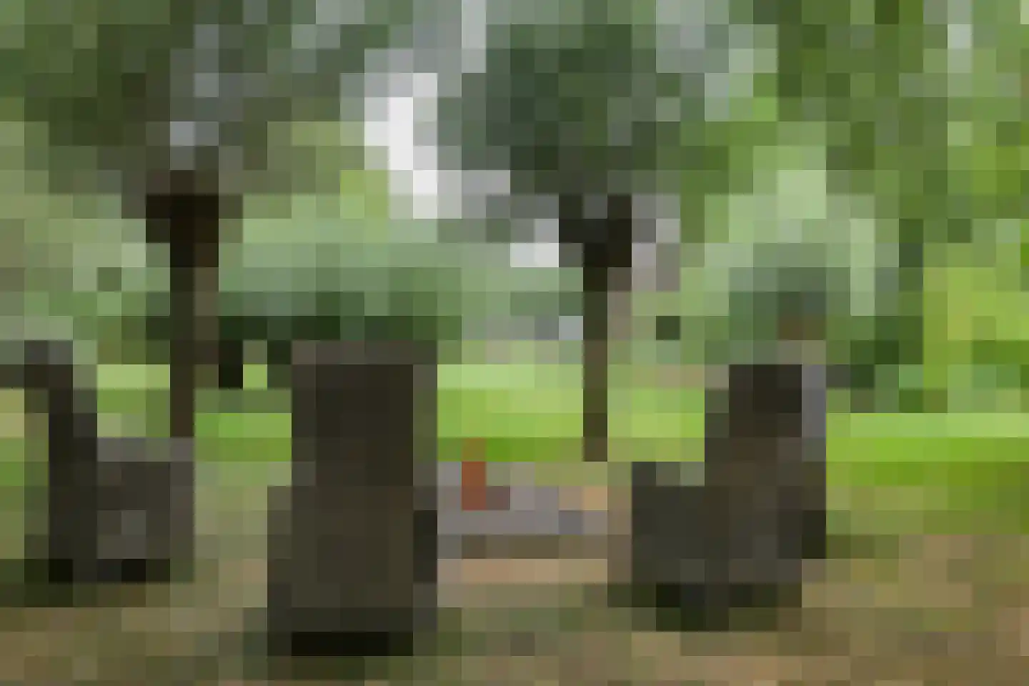 Noord IJsseldijk 101 IJsselstein thumbnail 76