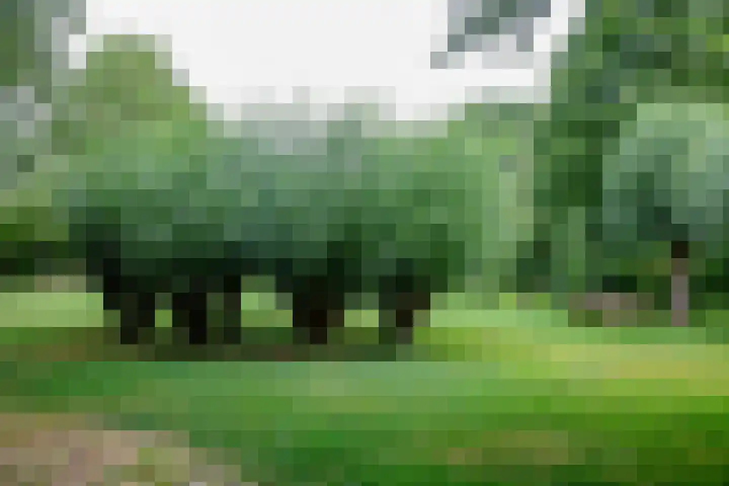 Noord IJsseldijk 101 IJsselstein thumbnail 78