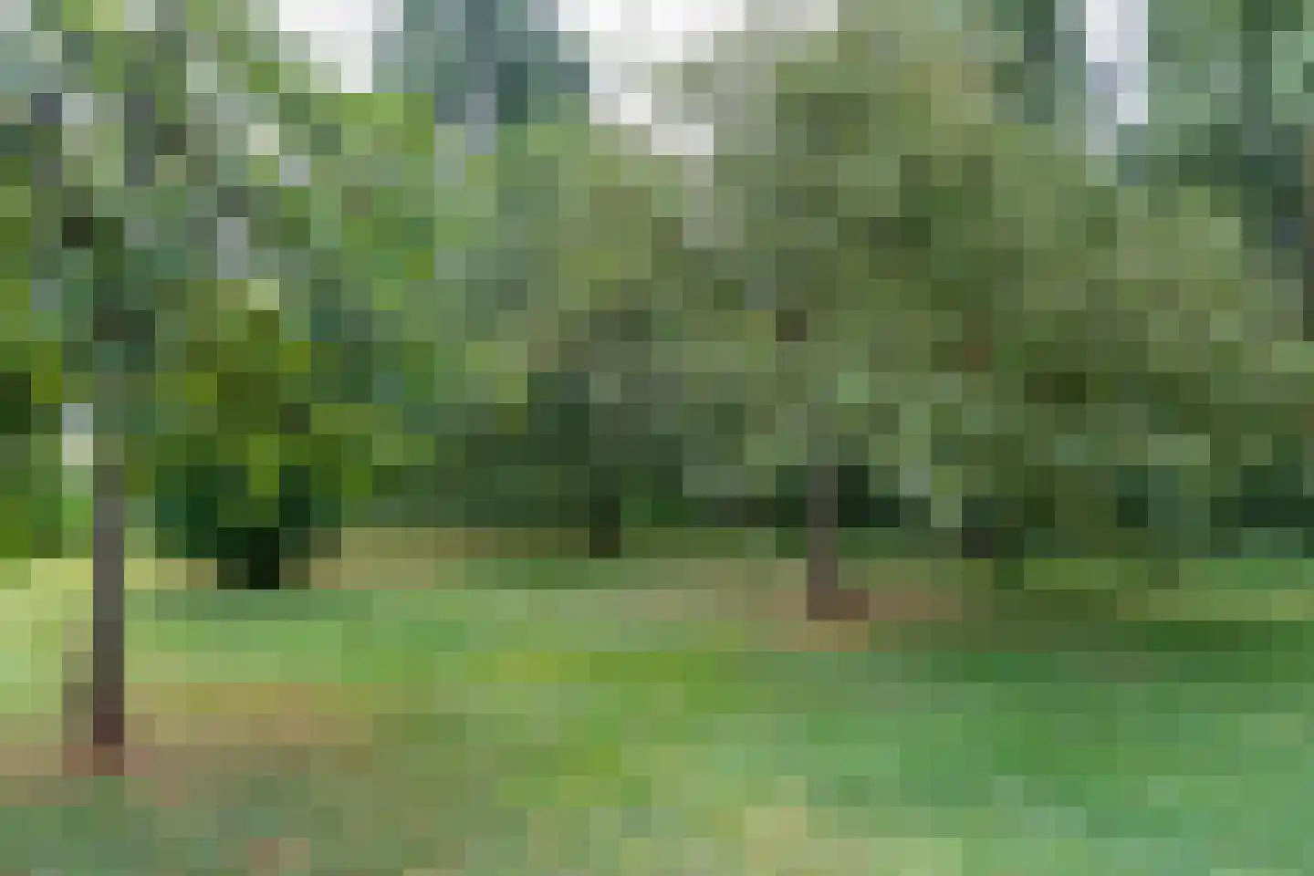 Noord IJsseldijk 101 IJsselstein thumbnail 81