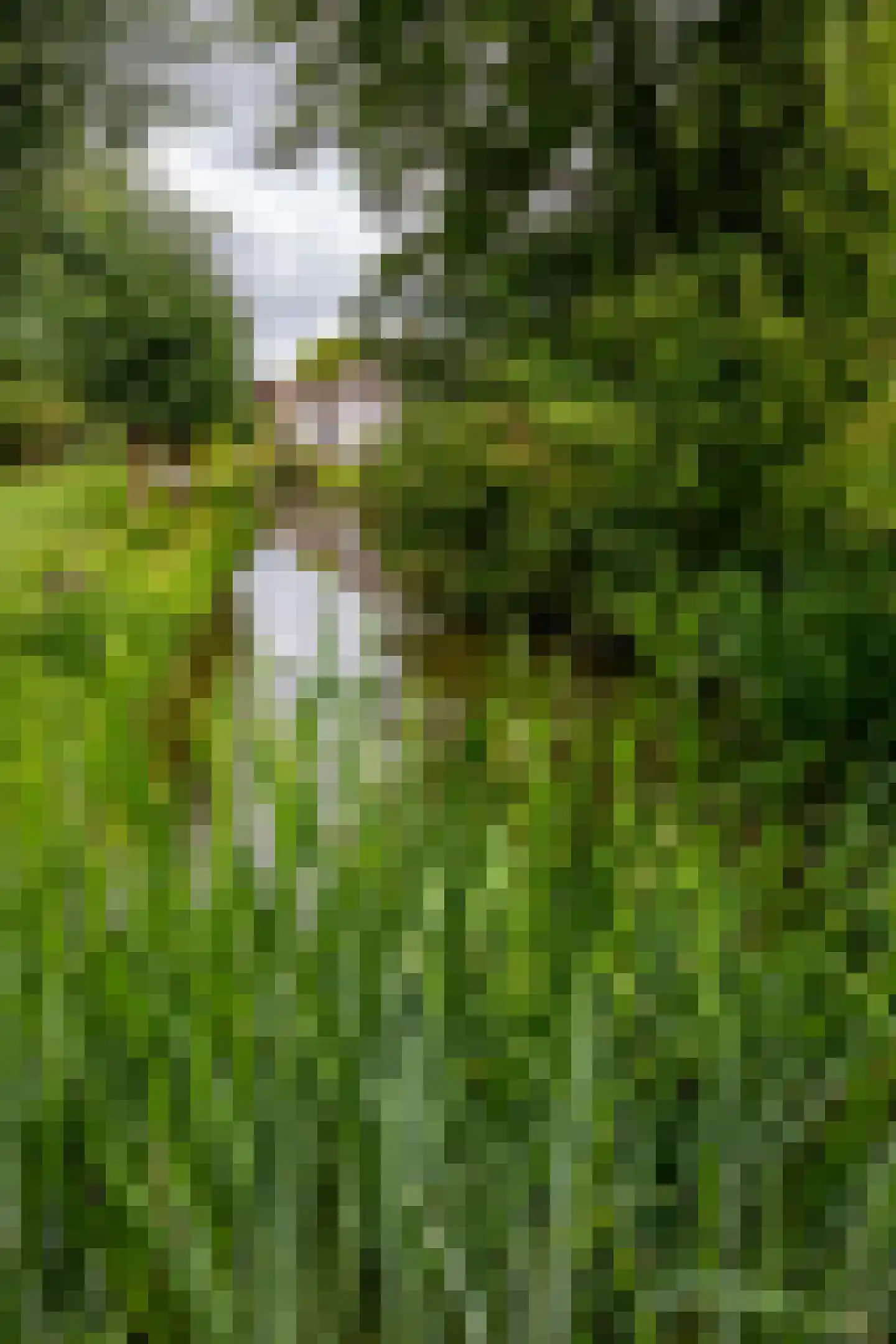 Noord IJsseldijk 101 IJsselstein thumbnail 88