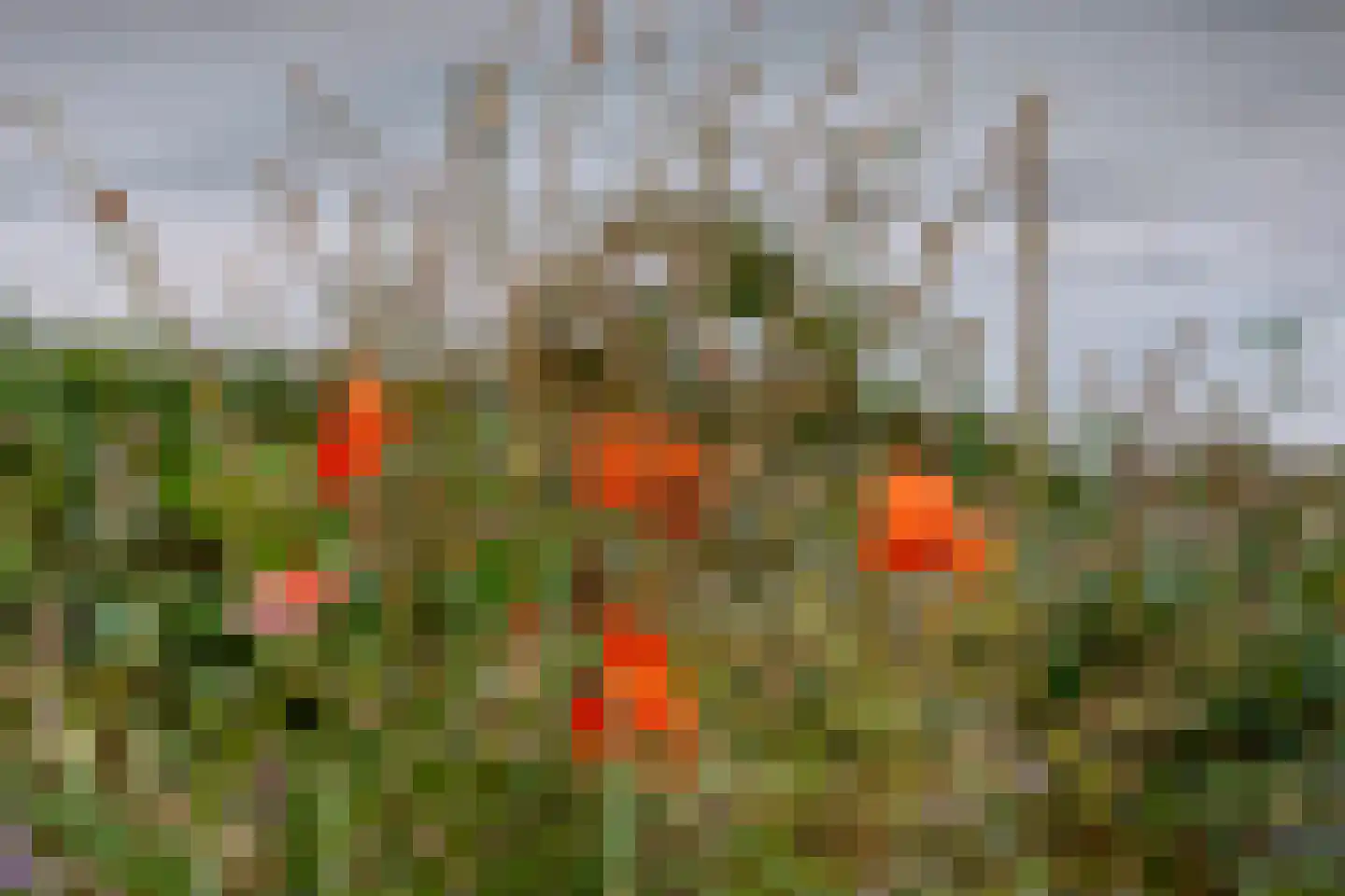 Noord IJsseldijk 101 IJsselstein thumbnail 93