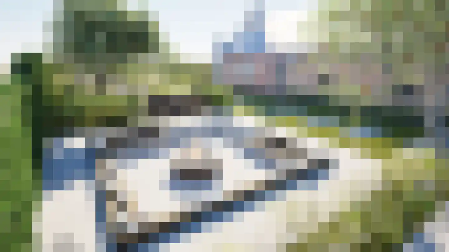 Noord IJsseldijk 22 IJsselstein thumbnail 47