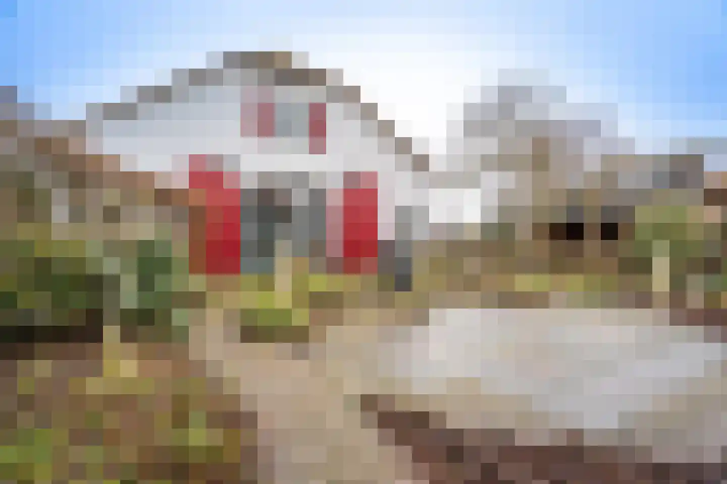 Noord IJsseldijk 24 IJsselstein thumbnail 22
