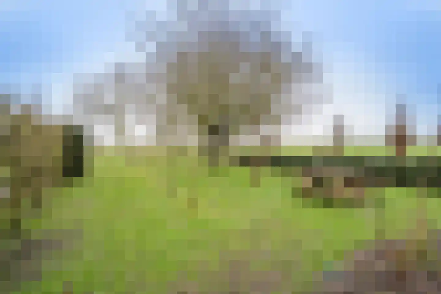 Noord IJsseldijk 24 IJsselstein thumbnail 24