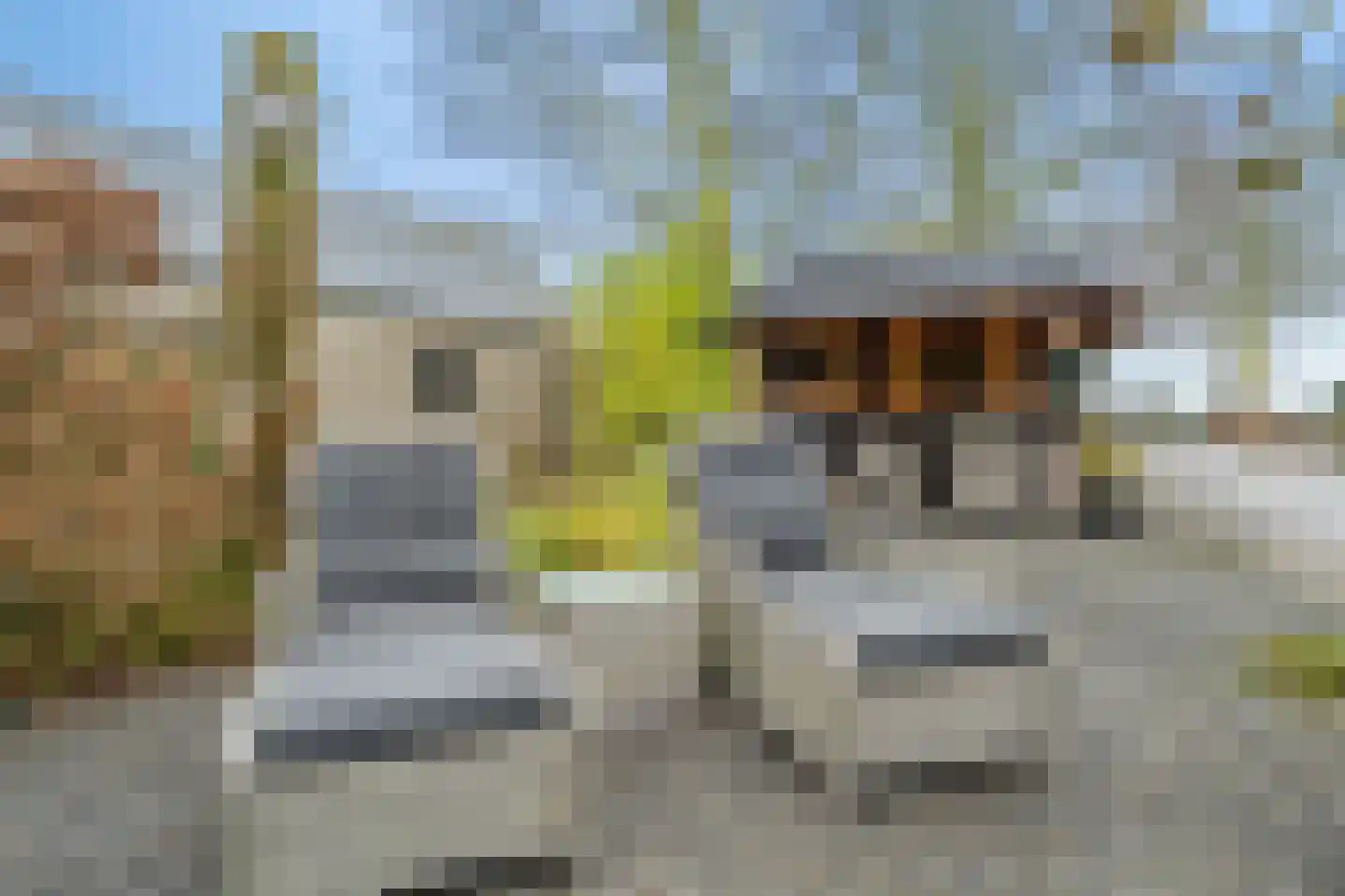 Noord IJsseldijk 24 IJsselstein thumbnail 28