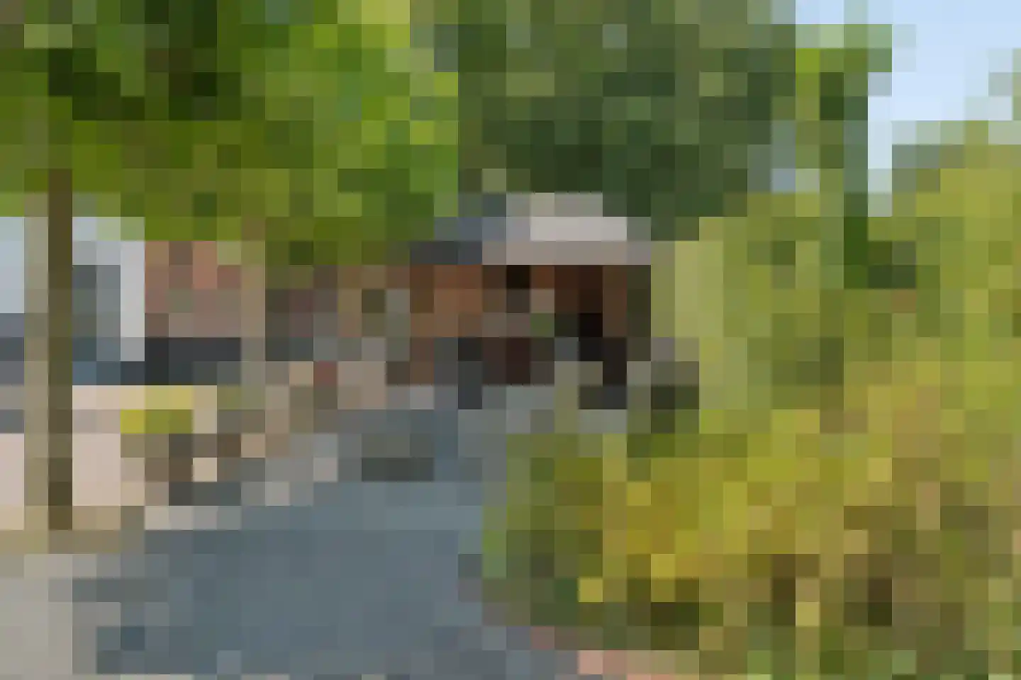 Noord IJsseldijk 24 IJsselstein thumbnail 36