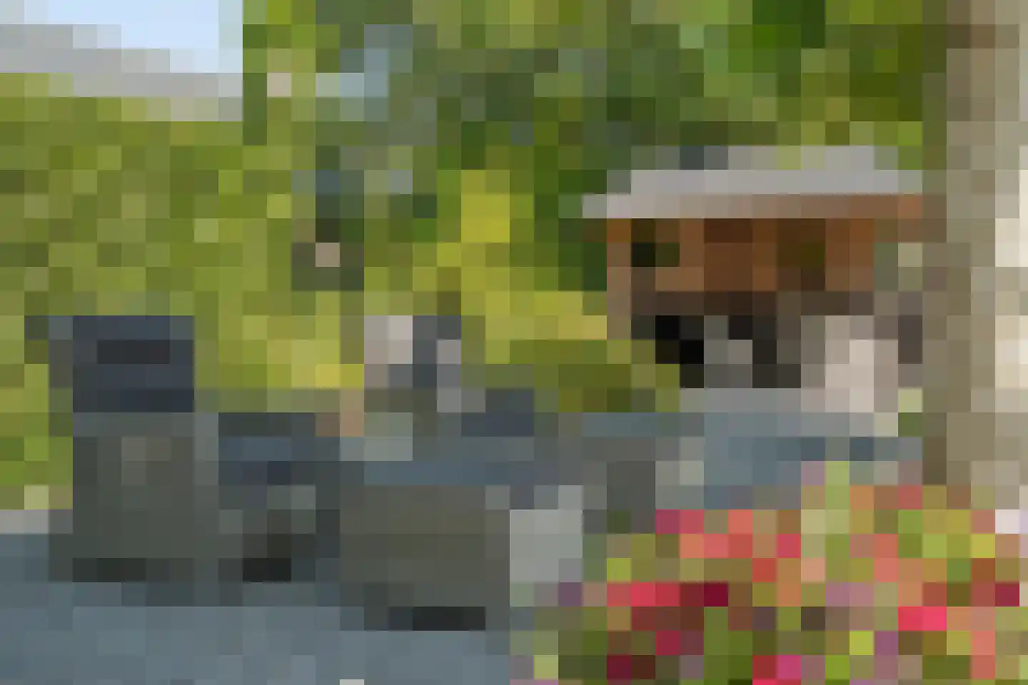 Noord IJsseldijk 24 IJsselstein thumbnail 37