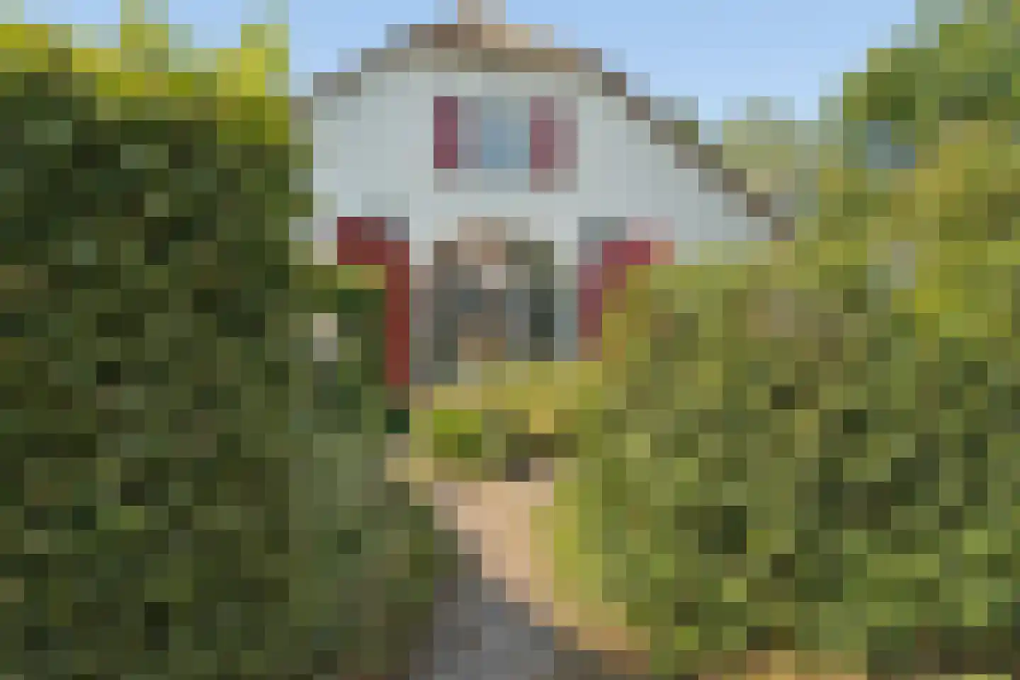 Noord IJsseldijk 24 IJsselstein thumbnail 38