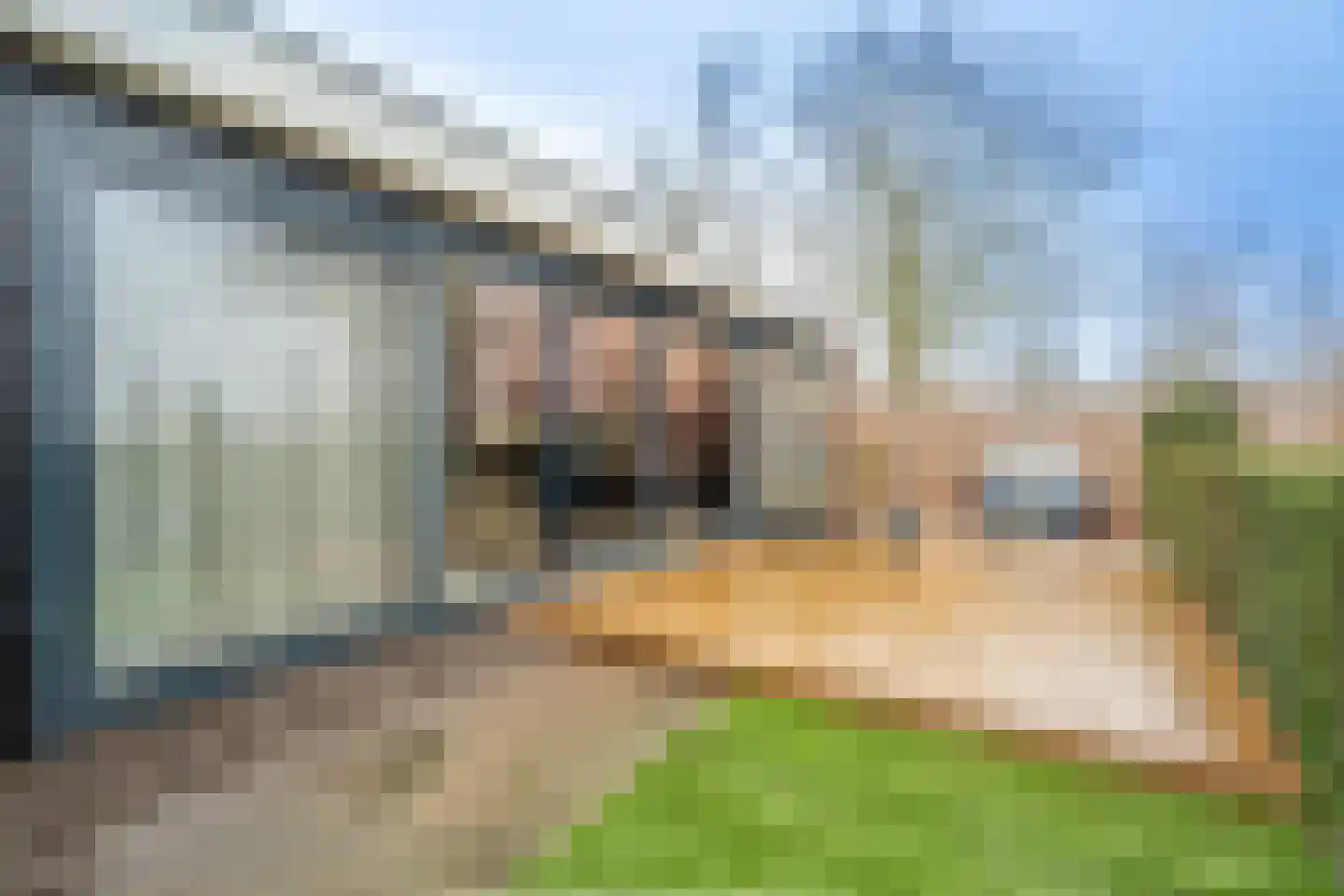 Noord IJsseldijk 24 IJsselstein thumbnail 55
