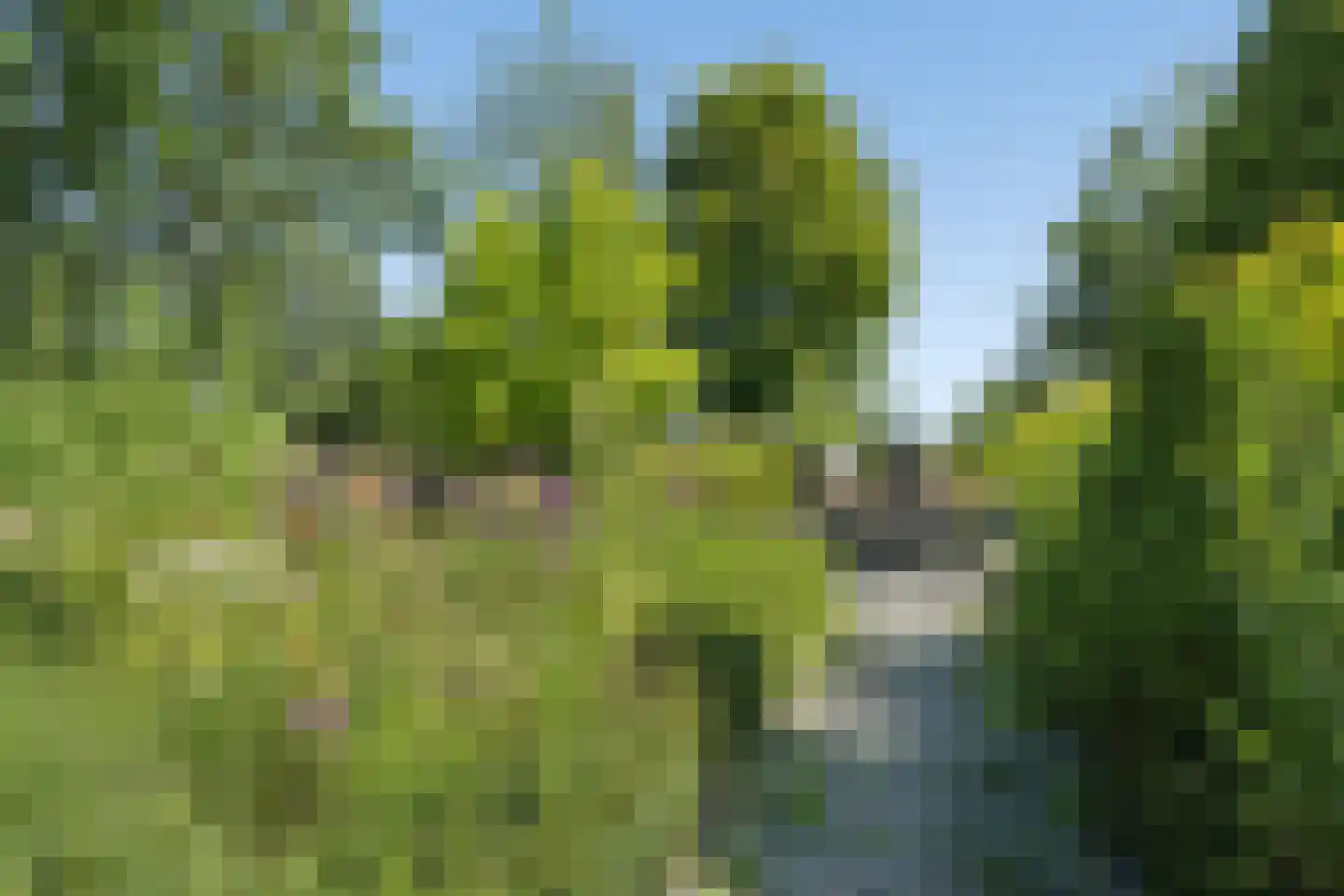 Noord IJsseldijk 24 IJsselstein thumbnail 66