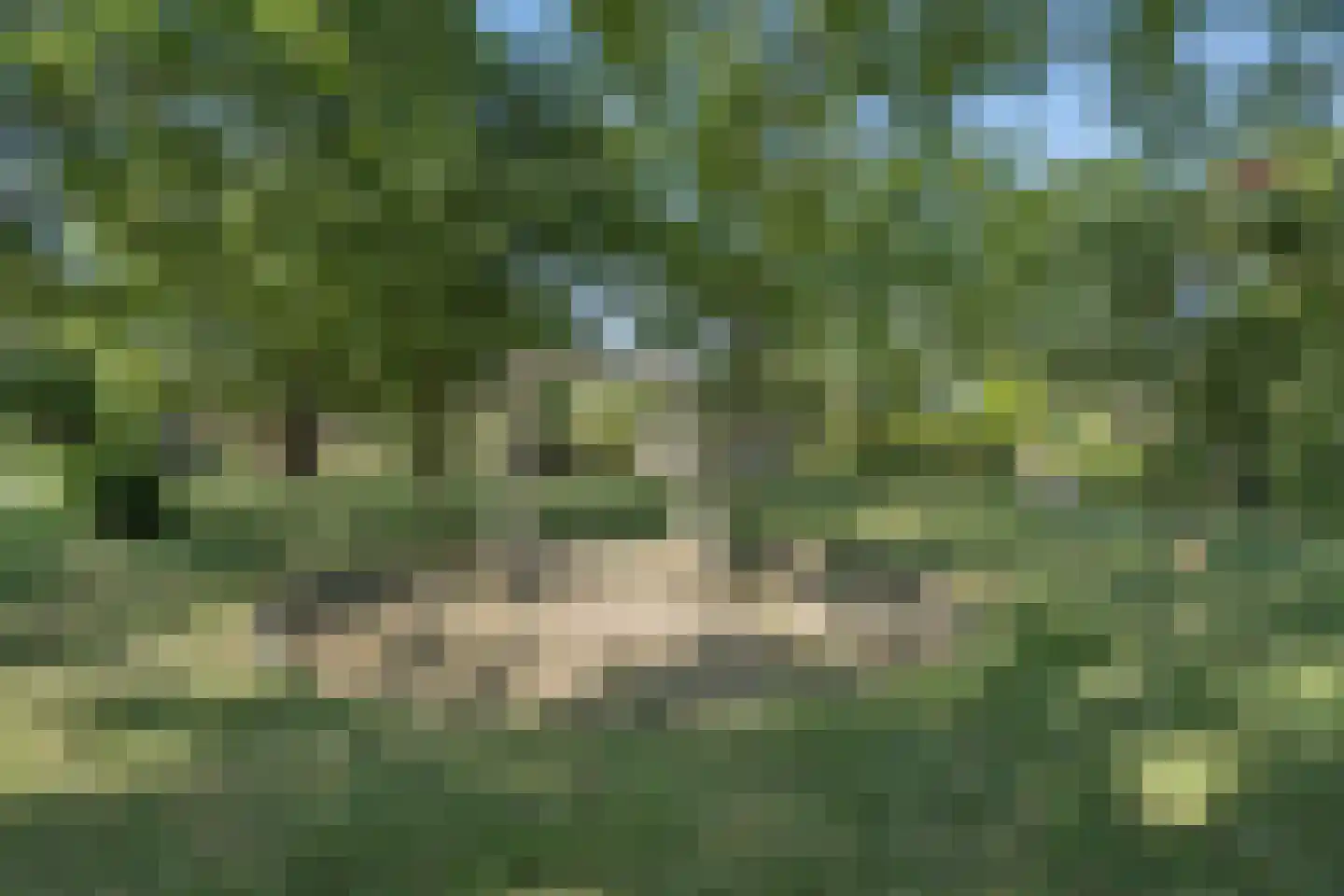Noord IJsseldijk 24 IJsselstein thumbnail 69