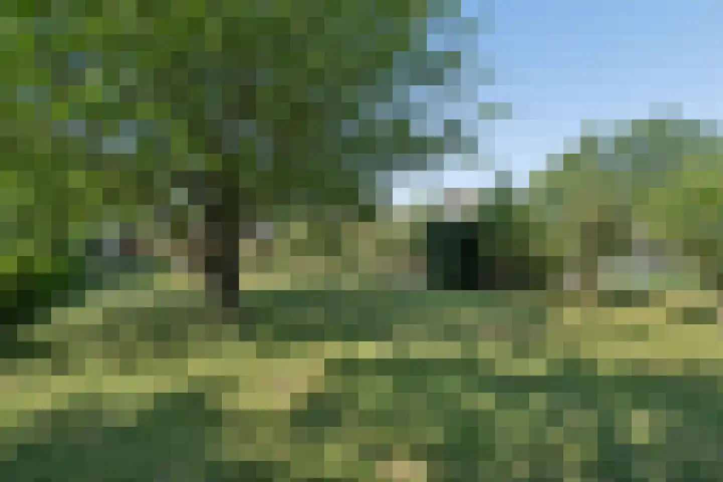 Noord IJsseldijk 24 IJsselstein thumbnail 71