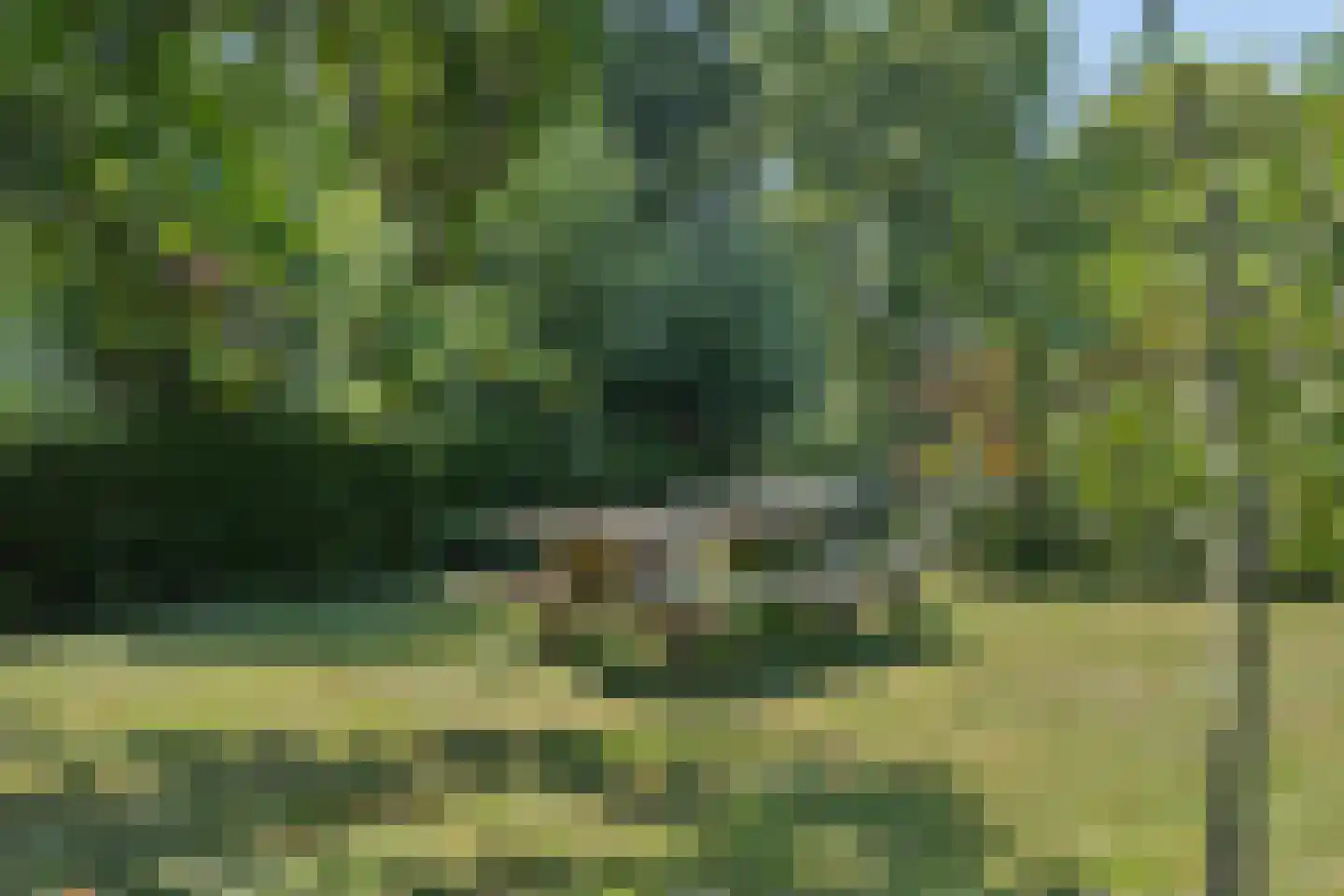 Noord IJsseldijk 24 IJsselstein thumbnail 73