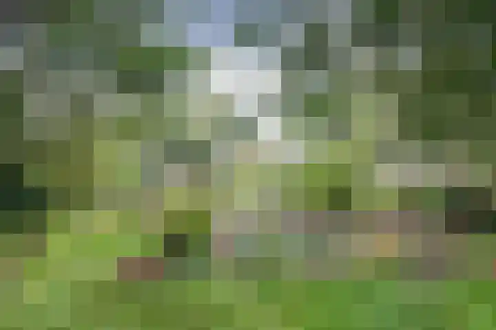 Noord Kavelsedijk 4 Strijen thumbnail 12